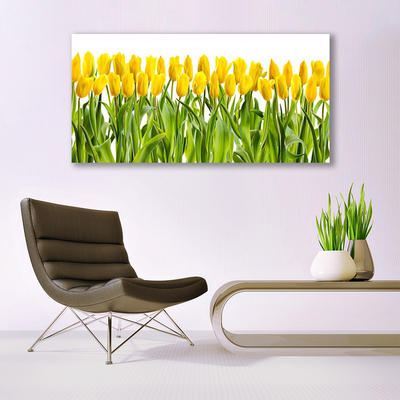 Leinwand-Bilder Tulpen Pflanzen