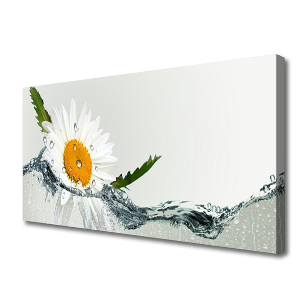 Leinwand-Bilder Gänseblümchen Wasser Kunst