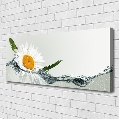 Leinwand-Bilder Gänseblümchen Wasser Kunst