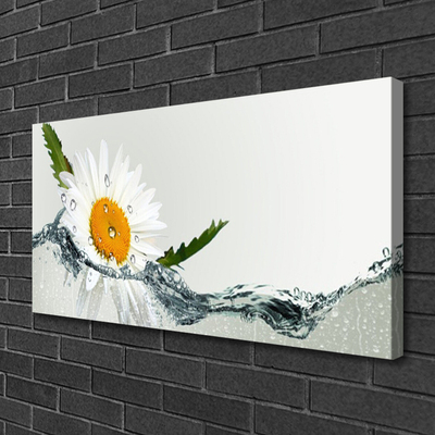 Leinwand-Bilder Gänseblümchen Wasser Kunst