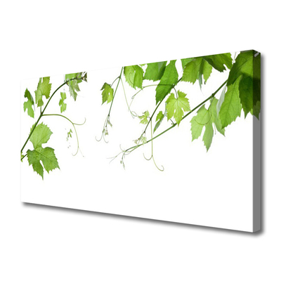 Leinwand-Bilder Zweige Blätter Pflanzen