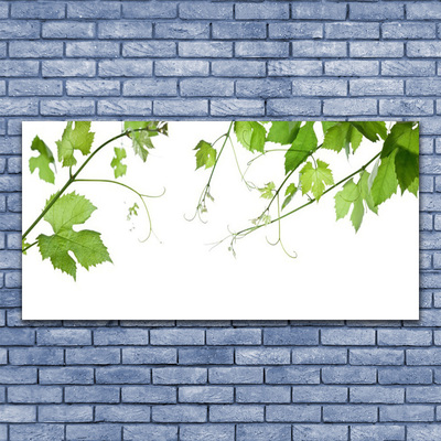Leinwand-Bilder Zweige Blätter Pflanzen