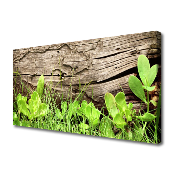 Leinwand-Bilder Gras Blätter Pflanzen