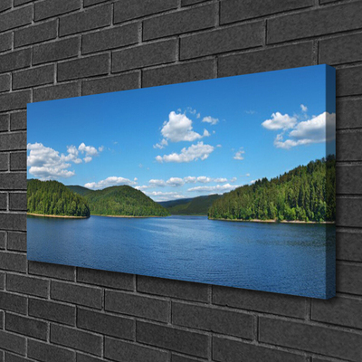 Leinwand-Bilder See Wald Landschaft