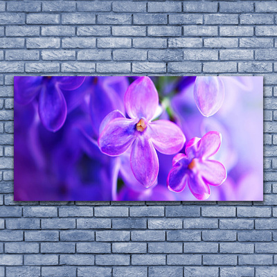 Leinwand-Bilder Blumen Pflanzen