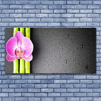 Leinwand-Bilder Bambusrohre Blume Pflanzen