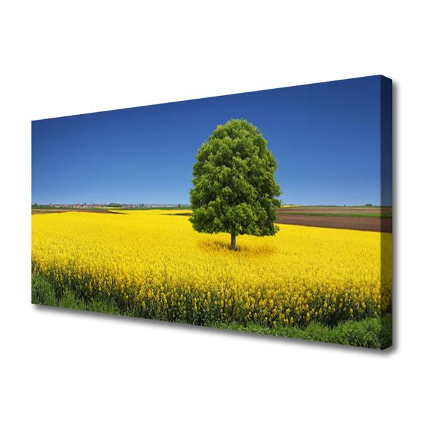 Leinwand-Bilder Wiese Baum Natur