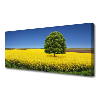 Leinwand-Bilder Wiese Baum Natur