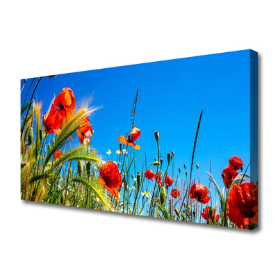 Leinwand-Bilder Blumen Pflanzen