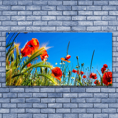 Leinwand-Bilder Blumen Pflanzen