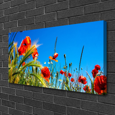 Leinwand-Bilder Blumen Pflanzen