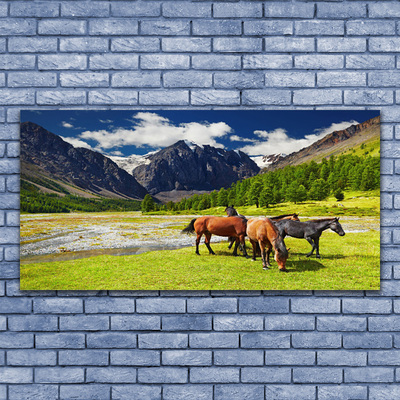 Leinwand-Bilder Gebirge Bäume Pferde Tiere