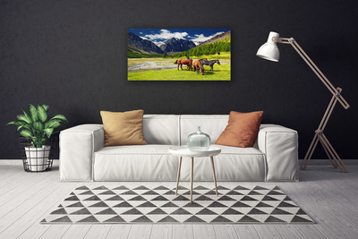 Leinwand-Bilder Gebirge Bäume Pferde Tiere