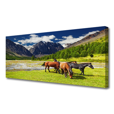 Leinwand-Bilder Gebirge Bäume Pferde Tiere