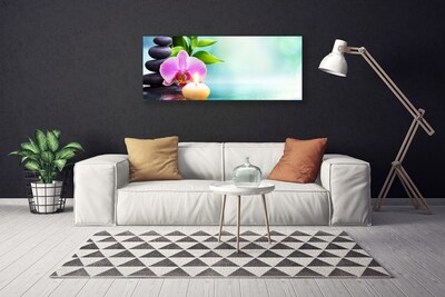 Leinwand-Bilder Bambusrohre Steine Blume Kunst