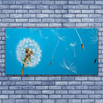 Leinwand-Bilder Pusteblume Pflanzen