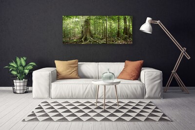 Leinwand-Bilder Wald Natur