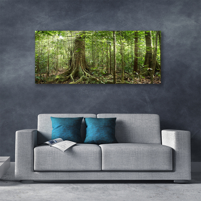Leinwand-Bilder Wald Natur