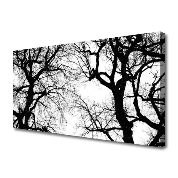Leinwand-Bilder Bäume Natur