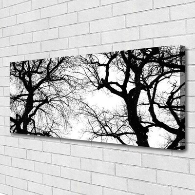Leinwand-Bilder Bäume Natur