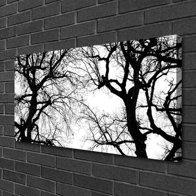 Leinwand-Bilder Bäume Natur