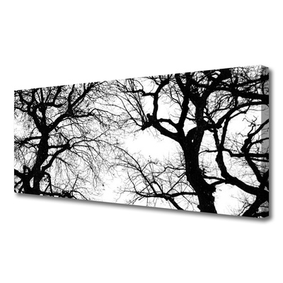 Leinwand-Bilder Bäume Natur