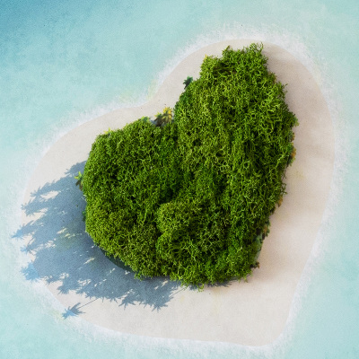 Moosbild Herzförmige Insel
