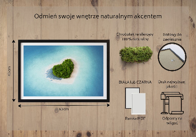 Moosbild Herzförmige Insel