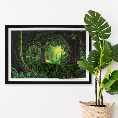 Bild moos Tropendschungel