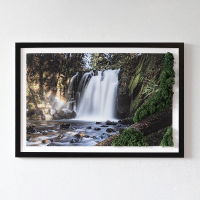 Stylegreen moosbild Wasserfall von Bäumen umgeben