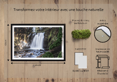 Stylegreen moosbild Wasserfall von Bäumen umgeben