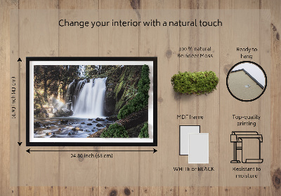 Stylegreen moosbild Wasserfall von Bäumen umgeben