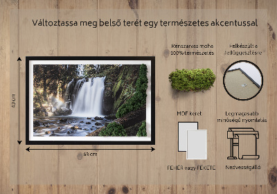 Stylegreen moosbild Wasserfall von Bäumen umgeben