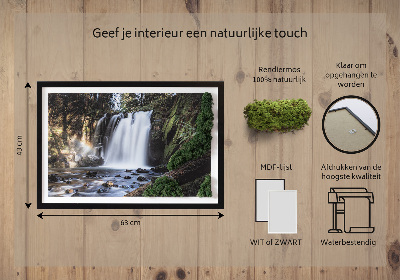 Stylegreen moosbild Wasserfall von Bäumen umgeben