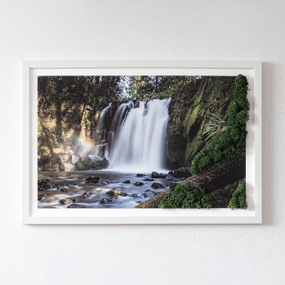 Stylegreen moosbild Wasserfall von Bäumen umgeben