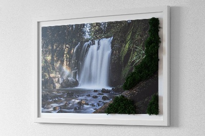 Stylegreen moosbild Wasserfall von Bäumen umgeben