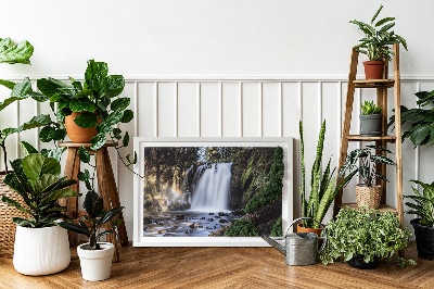 Stylegreen moosbild Wasserfall von Bäumen umgeben