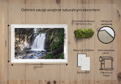 Stylegreen moosbild Wasserfall von Bäumen umgeben