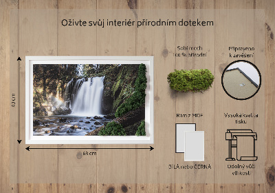 Stylegreen moosbild Wasserfall von Bäumen umgeben