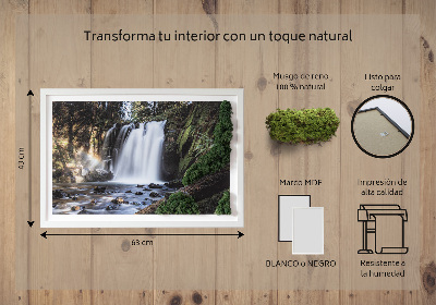 Stylegreen moosbild Wasserfall von Bäumen umgeben