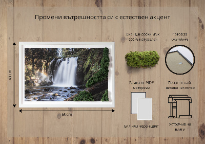 Stylegreen moosbild Wasserfall von Bäumen umgeben