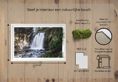 Stylegreen moosbild Wasserfall von Bäumen umgeben