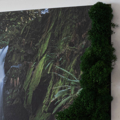 Stylegreen moosbild Wasserfall von Bäumen umgeben