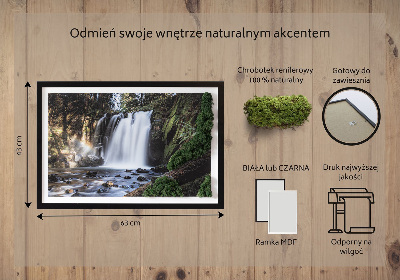Stylegreen moosbild Wasserfall von Bäumen umgeben