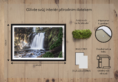 Stylegreen moosbild Wasserfall von Bäumen umgeben