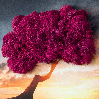 Wand moos bild Ein Baum über dem Abgrund