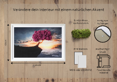 Wand moos bild Ein Baum über dem Abgrund