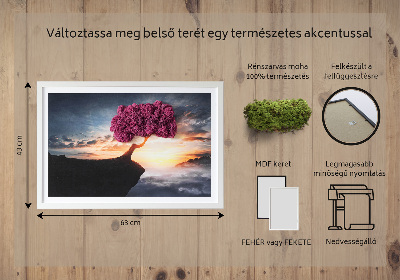 Wand moos bild Ein Baum über dem Abgrund