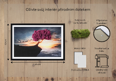 Wand moos bild Ein Baum über dem Abgrund
