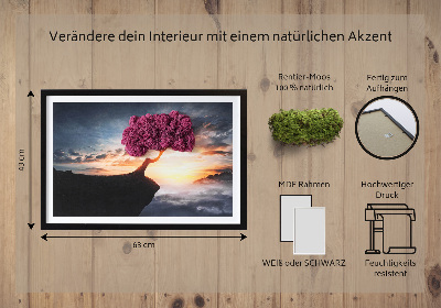 Wand moos bild Ein Baum über dem Abgrund